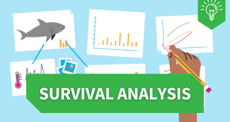 Learning Hub animations: Survival analysis image