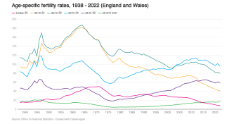 Age-specific fertility rates image