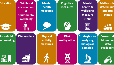 Graphic outlining the different harmonisation topics: socio-economic status, education, childhood environment and adult wellbeing, mental health measures, cognitive measures, mental health and wellbeing measure usage, methods for determining pubertal status, body size and composition, earnings and income, household overcrowding, dietary data, physical activity measures, DNA methylation, strategies for analysing biological samples, cross-study biomarker data availability, and visual functioning