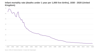 Infant mortality image