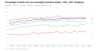 Overweight and obesity image