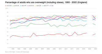 Overweight and obesity image