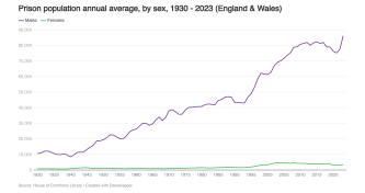 Prison population by sex image