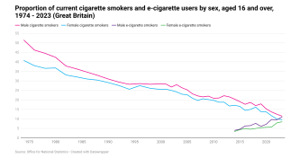 Current cigarette and e-cigarette smokers by sex image
