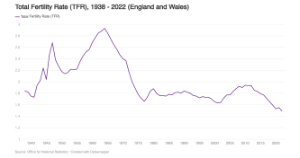 Total Fertility Rate (TFR) image